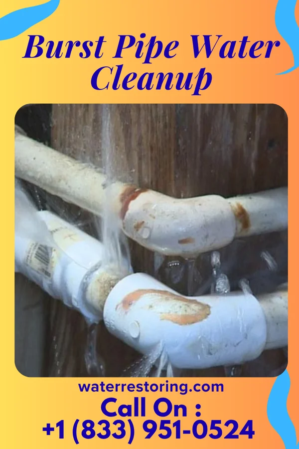 Burst Pipe Water Cleanup in Lake Tapps, WA