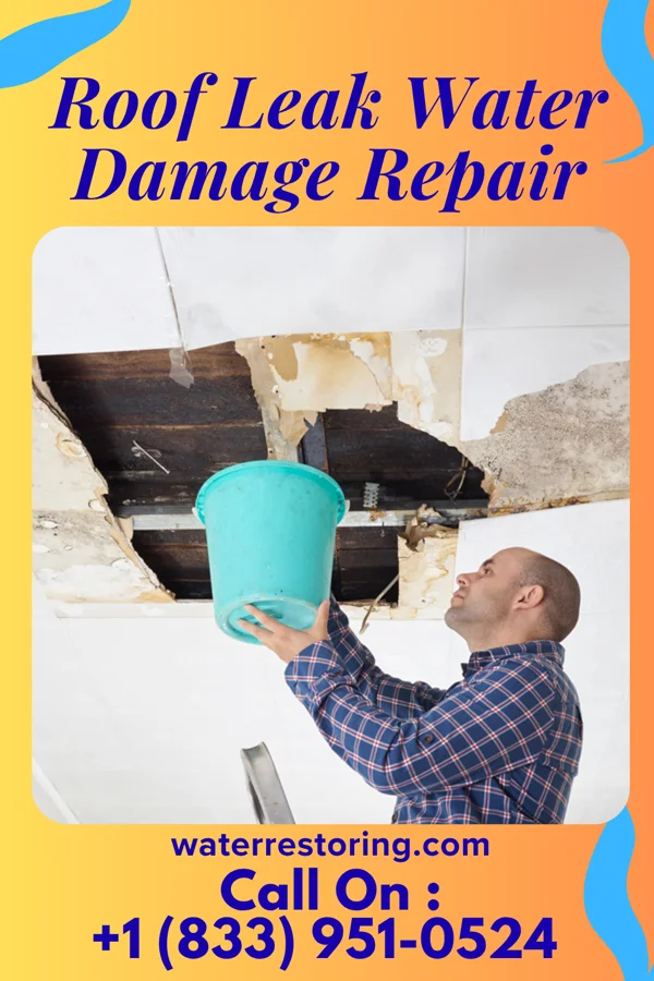 Roof Leak Water Damage Repair in Lake Tapps, WA
